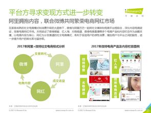 2017年中國(guó)網(wǎng)紅經(jīng)濟(jì)發(fā)展洞察 機(jī)遇與挑戰(zhàn)并存