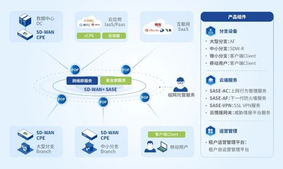 國(guó)家權(quán)威認(rèn)證！深信服SASE榮獲CCRC數(shù)據(jù)安全管理認(rèn)證，為互聯(lián)網(wǎng)數(shù)據(jù)服務(wù)保駕護(hù)航